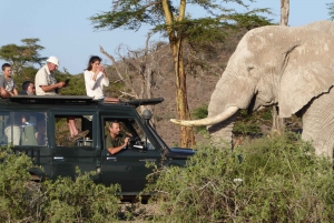 Best 7 Days Kenya Adventure Wildlife Safari