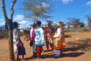 Vanuit Nairobi: dagtour naar een traditioneel Maasai-dorp