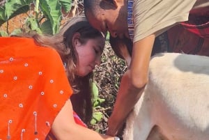 Vanuit Nairobi: dagtour naar een traditioneel Maasai-dorp