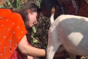 Vanuit Nairobi: dagtour naar een traditioneel Maasai-dorp