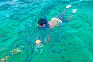 Blå safari: Snorkling vid Watamu Marine Park & Fisk och skaldjur