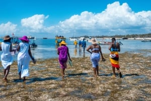Blå safari: Snorkling vid Watamu Marine Park & Fisk och skaldjur
