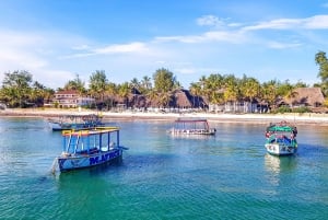 Blå safari: Snorkling vid Watamu Marine Park & Fisk och skaldjur
