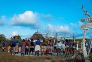 Blå safari: Snorkling vid Watamu Marine Park & Fisk och skaldjur