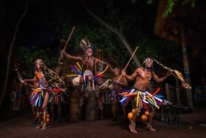 Boma-avond: kustdansers en dhow-diner