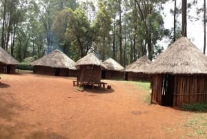 Bomas of Kenya Cultural tour