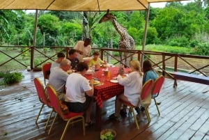 Borabora: Guidet tur og busktur i dyreparken