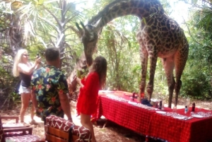Borabora: Visita guiada ao Parque dos Animais e ao mato