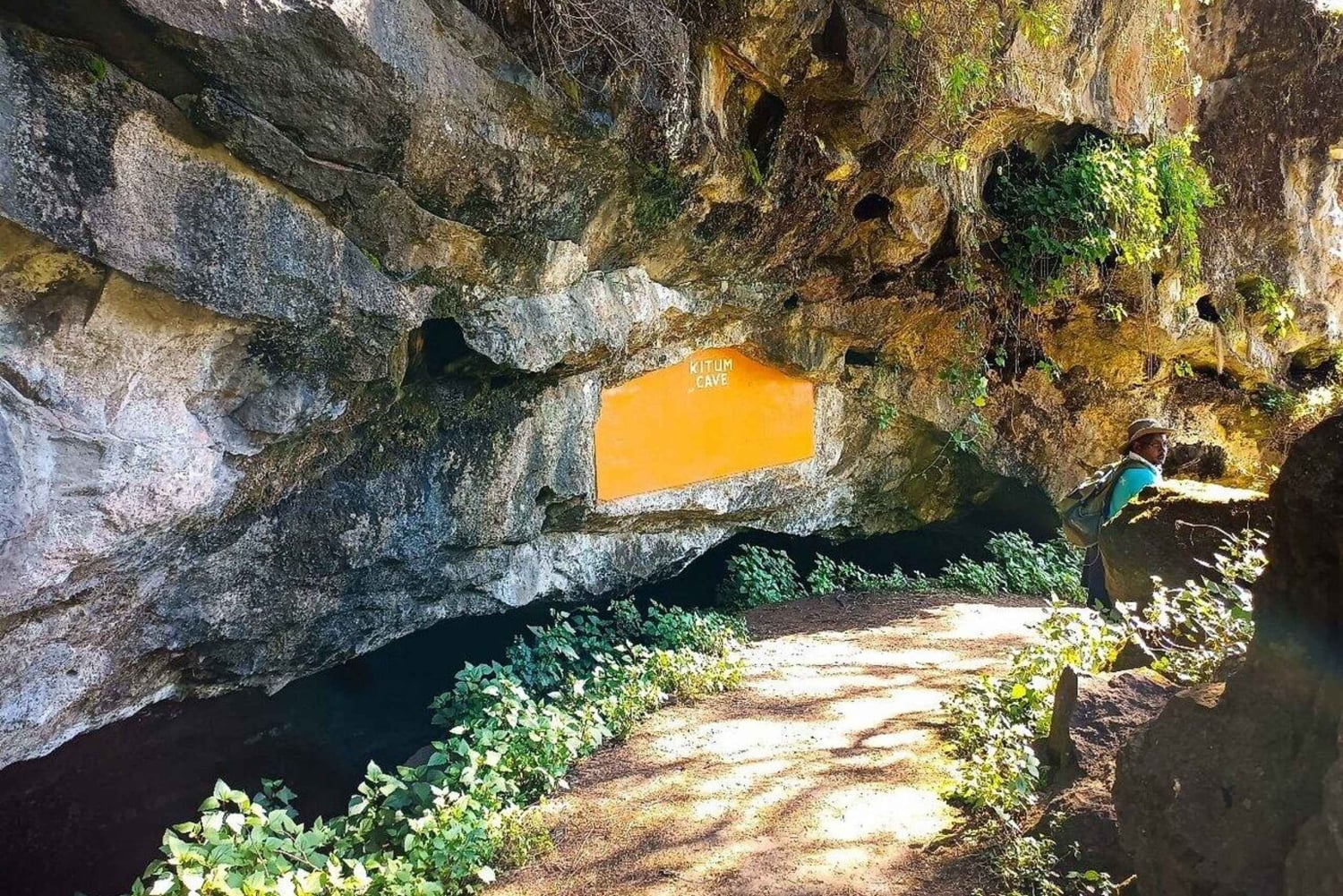 Bungoma County: guidet fottur i lavaubehuler på Elgon