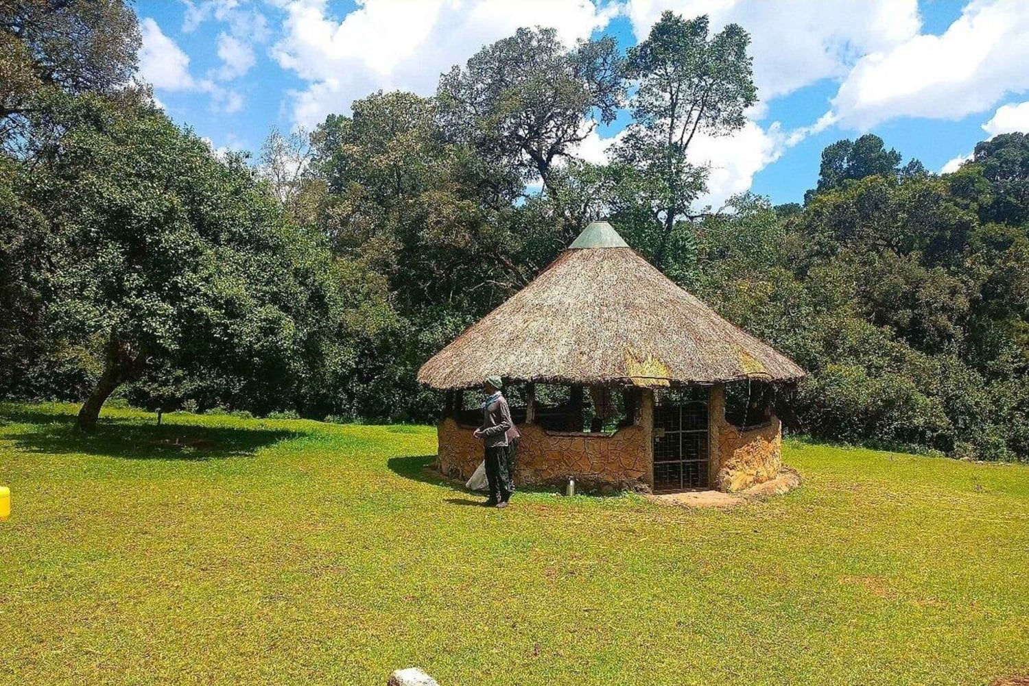 Bungoma County: guidet fottur i lavaubehuler på Elgon