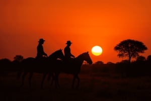 Chyulu Hills: Ol Donyo Lodge Pferdesafari