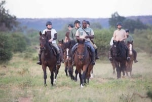 Chyulu Hills: Ol Donyo Lodge hästsafari