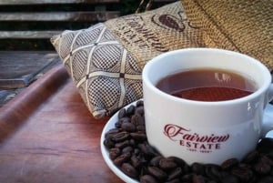 Kaffeplantagetur och baristakurs nära Nairobi