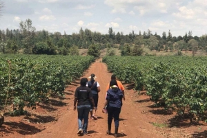 Coffee Farm Tour & Barista Workshop near Nairobi