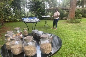 Coffee Farm Tour (Fairview) From Nairobi