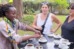 Coffee Farm Tour (Fairview) From Nairobi