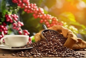 Coffee Farm Tour (Fairview) From Nairobi