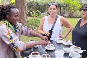 Coffee Farm Tour (Fairview) From Nairobi