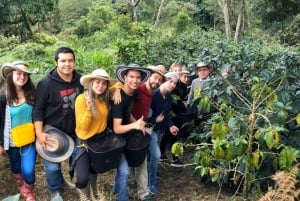 Coffee Farm Tour (Fairview) From Nairobi
