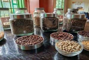 Kahvifarmikierros (Fairview) Nairobista käsin