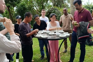 Kahvifarmikierros (Fairview) Nairobista käsin