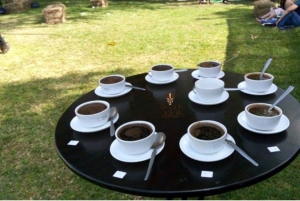 Kahvifarmikierros (Fairview) Nairobista käsin