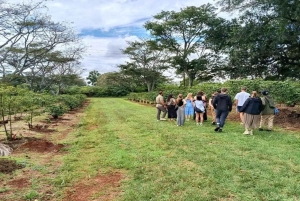 Kahvifarmikierros (Fairview) Nairobista käsin