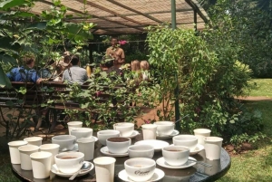 Kahvifarmikierros (Fairview) Nairobista käsin