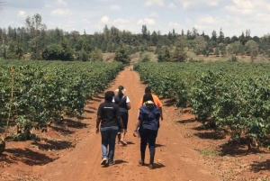 Kahvifarmikierros (Fairview) Nairobista käsin