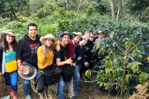 Kahvifarmikierros (Fairview) Nairobista käsin