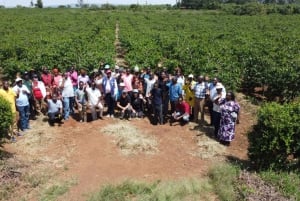 Visita a uma fazenda de café (Fairview)