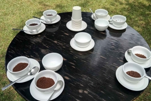 Visita a uma fazenda de café (Fairview)