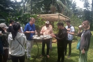 Visita a uma fazenda de café (Fairview)