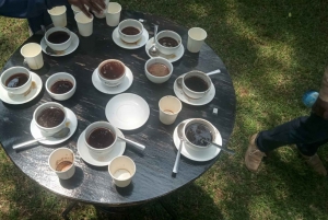 Visita a uma fazenda de café (Fairview)