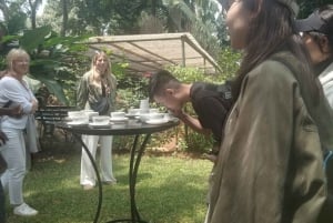 Visita a uma fazenda de café (Fairview)