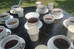 Visita a uma fazenda de café (Fairview)