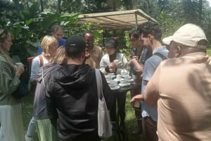 Visita a uma fazenda de café (Fairview)