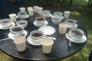 Visita a uma fazenda de café (Fairview)