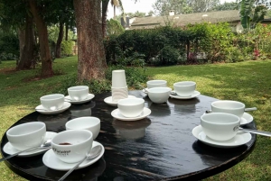 Visita a uma fazenda de café (Fairview)