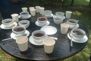 Visita a uma fazenda de café (Fairview)