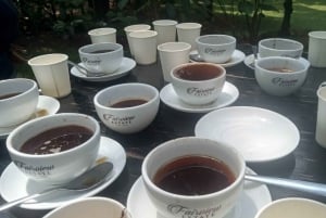 Visita a uma fazenda de café (Fairview)