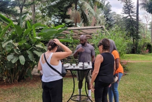 Visita a uma fazenda de café (Fairview)