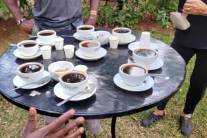 Visita a uma fazenda de café (Fairview)