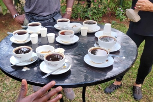Coffee Farm Tour (Fairview)