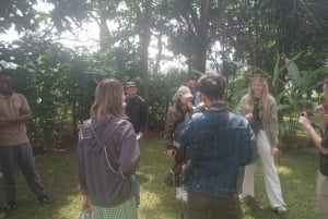 Tour della fattoria del caffè (Fairview)