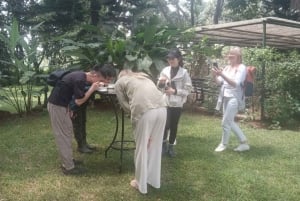 Tour della fattoria del caffè (Fairview)