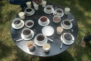 Tour della fattoria del caffè (Fairview)