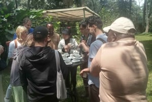 Tour della fattoria del caffè (Fairview)