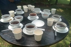 Tour della fattoria del caffè (Fairview)