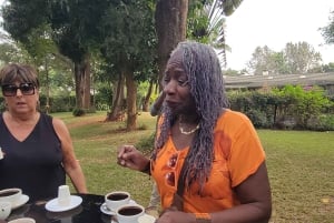 Tour della fattoria del caffè (Fairview)